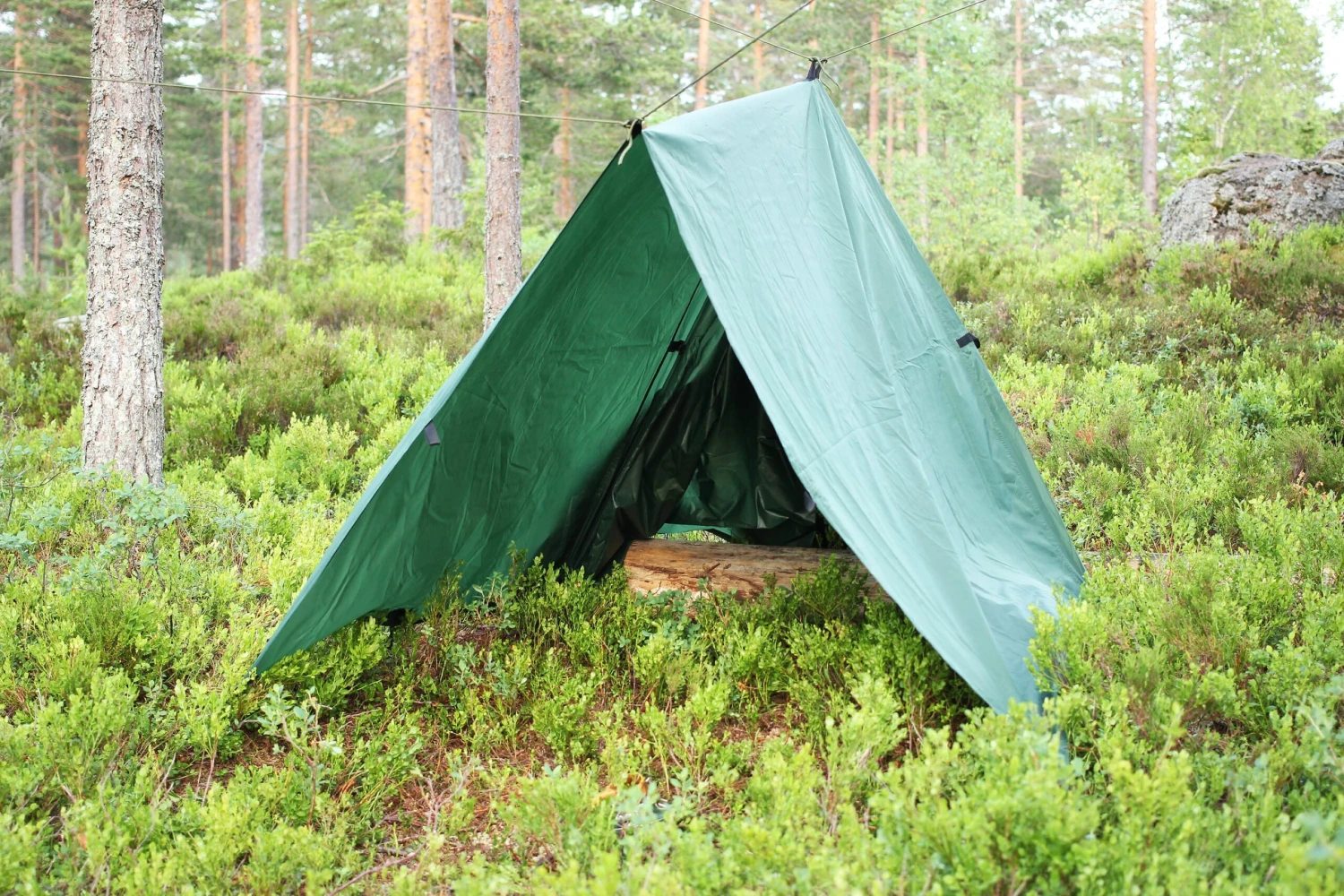 Tarp / Gapahuk Med 4 Stk Barduner Ass 8 Tarp / Gapahuk Med 4 Stk Barduner Ass - Bilde 6