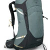 Osprey Sirrus 26 Ws Succulent Green