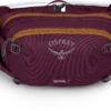 Osprey Seral 7 Aprium Purple