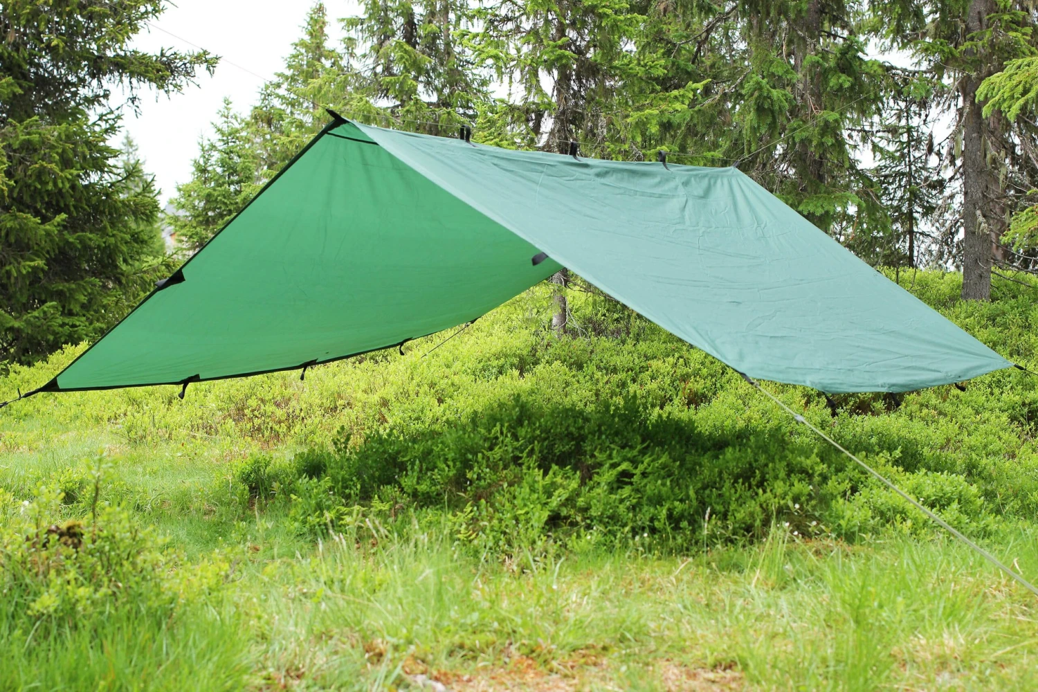 Tarp / Gapahuk Med 4 Stk Barduner Ass 4 Tarp / Gapahuk Med 4 Stk Barduner Ass - Bilde 2