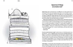 Siste Tur NC 13 Siste Tur NC -Utendørsutstyr vh9b8efo4grlrhig6xyl