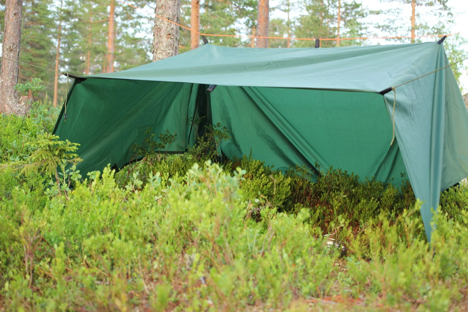 Tarp / Gapahuk Med 4 Stk Barduner Ass 6 Tarp / Gapahuk Med 4 Stk Barduner Ass - Bilde 4